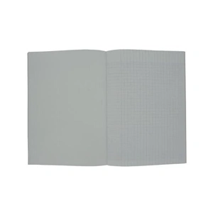 Cahier A4 - CLAIREFONTAINE - 64 pages - Grands carreaux - Seyès - Dessin 90g pas cher