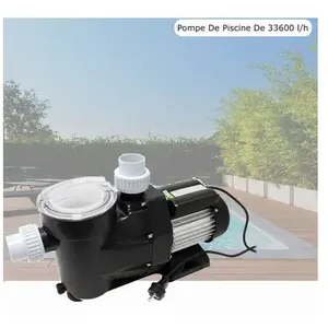 Le Poisson Qui Jardine - Pompe De Piscine De 33600 l/h. Puissante Et S...