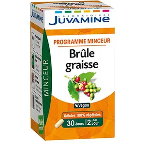 Juvamine Programme Minceur Brûle Graisse 60 gélules pas cher