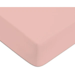 Future Home Drap housse en coton 57 fils uni bonnet 25cm pas cher