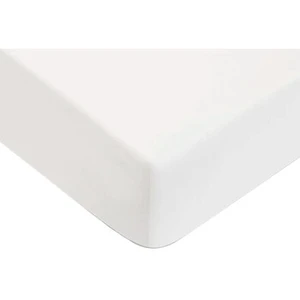 Future Home Drap housse en coton 57 fils uni pas cher