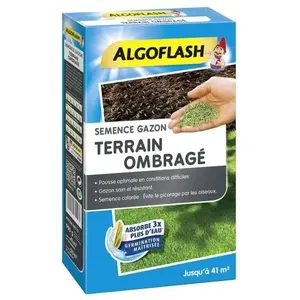 Comparateur de prix : ALGOFLASH Semence Gazon Terrain Ombragé, 900g, SEMTO1