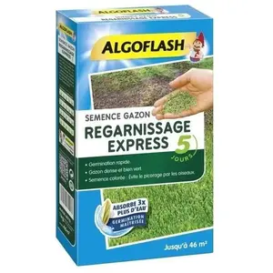 ALGOFLASH - Gazon regarnissant express 5 jours 1kgVendu parcarrefour