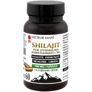 Vecteur Santé Shilajit Pur 60 gélules