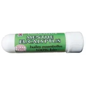 VECTEUR SANTE Inhalateur Menthe Eucalyptus pas cher