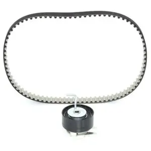 Bosch Kit de distribution, par ex. pour Citroën, Jaguar, Peugeot, Land Rover pas cher
