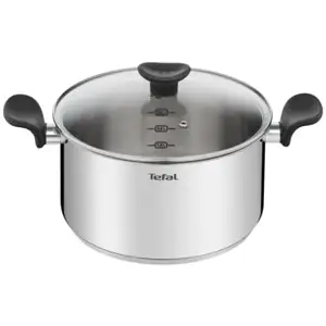 Faitout Inox+Couv En Verre 24Cm Primary E3084604 Tefal pas cher