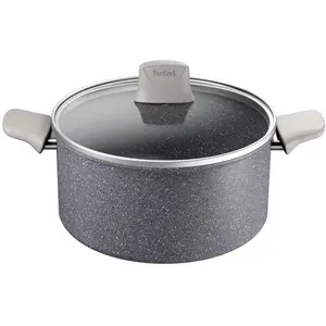 Faitout 4,9l 24cm Aluminium Revêtement Anti-adhésif Tous Feux Dont Induction Avec Couvercle Fresh Mood Tefal - Le Faitout pas cher