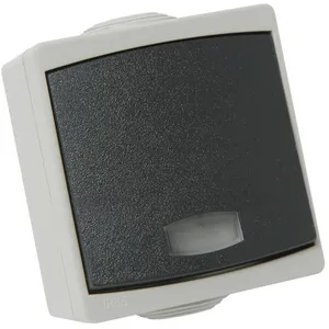 Debflex Poussoir à voyant DEBFLEX PERLE 10 ampères étanche IP65 gris pas cher
