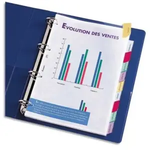 Oxford Elba Intercalaires couleurs pas cher
