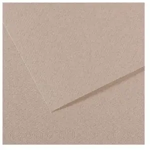 Comparateur de prix : Canson Papier Mi-Teintes - 50 x 65 cm - 160 g/m² - gris clair (426)