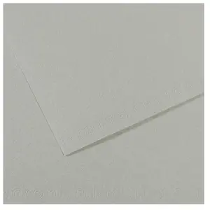 Comparateur de prix : Canson Papier Mi-Teintes - 50 x 65 cm - 160 g/m² - gris ciel (354)