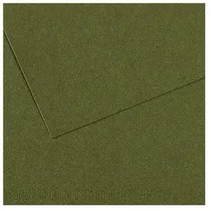 Comparateur de prix : Canson Papier Mi-Teintes - 50 x 65 cm - 160 g/m² - vert océan (448)