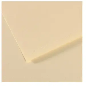 Canson Papier Mi-Teintes - 50 x 65 cm - 160 g/m² - citronnelle (101)Vendu paramazon