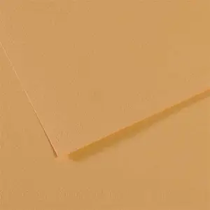 Comparateur de prix : Canson Papier Mi-Teintes - 50 x 65 cm - 160 g/m² - chanvre clair (340)