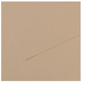 Comparateur de prix : Canson Lot de 10 Feuille Mi-Teintes® 50x65 160g/m², coloris gris trianon 343
