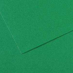 Canson Papier Mi-Teintes - A4 - 160 g/m² - vert billard (575) pas cher