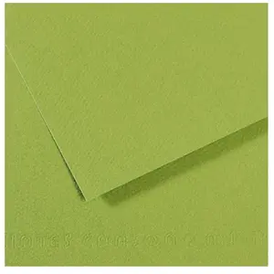 Comparateur de prix : Papier Mi-Teintes - A4 - 160 g/m² - vert pomme (475)