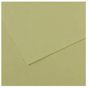 Canson Papier Mi-Teintes - A4 - 160 g/m² - vert amande (480) pas cher