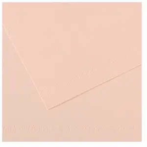 Comparateur de prix : Canson Papier Mi-Teintes - A4 - 160 g/m² - aurore (103)