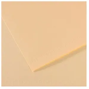 Comparateur de prix : Canson Papier Mi-Teintes - A4 - 160 g/m² - ivoire (111)
