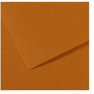 Canson Papier Mi-Teintes - 50 x 65 cm - 160 g/m² - havane clair (502)Vendu paramazon