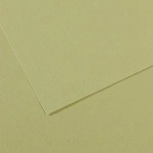 Comparateur de prix : Canson MI-TEINTE 160G 50X65 VERT AMANDE 48