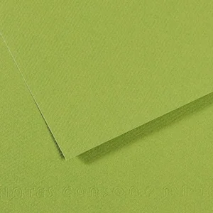Comparateur de prix : CANSON papier dessin Mi-Teintes 500 x 650 mm, vert