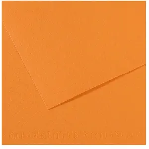 Canson Papier Mi-Teintes - 50 x 65 cm - 160 g/m² - saumon (384)Vendu parscrapmalin
