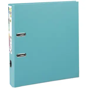 EXACOMPTA EXA ORDNER PVC MET. RAND D50 A4 PASTEL GROEN pas cher