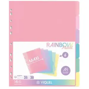 Lot de 6 Intercalaires Viquel Rainbow Pastel A4Vendu paramazon