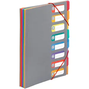 Trieur a4 8 compartiments Rainbow Touch Viquel Plastique Gris pas cher