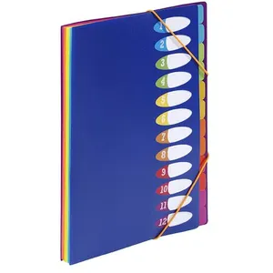 VIQUEL Trieur Happy Fluo 12 touches, dos soufflets Format A4. Coloris Bleu pas cher