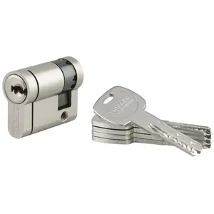 Thirard - 1/2 cylindre 30 x10 mm nickelé panneton orientable 5 clés