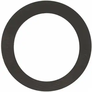 Joint de bride - Ø 38 / 28 mm - Siphon fonte - Watts industriesVendu parcdiscount