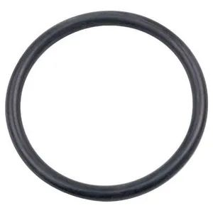 WATTS INDUSTRIES Joint torique de clapet - Ø 39 mm / 33 mm x 3 mm - Sachet de 20 pièces - Sirius
