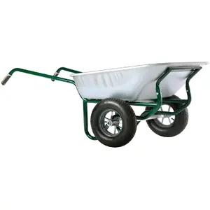 HAEMMERLIN Brouette Expert Twin Excellium 160 galva roues gonflées TU pas cher
