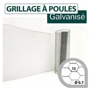 Cloture&jardin - Grillage Triple Torsion Galvanisé - Maille Hexa 13mm ...