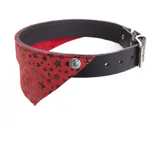 Collier pour chien Martin Sellier Miami Bleu 30 cm 3006698 pas cher