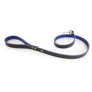 Comparateur de prix : Laisse pour chien Martin Sellier Allure T100 Vert TU 3006689