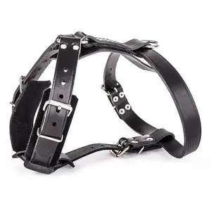 Comparateur de prix : Harnais pour chien en cuir feutre Martin Sellier Noir 25/80 cm 3005692