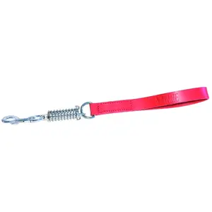 Laisse Chien - Martin Sellier Laisse Amortisseur rouge 2,5 x 50 cm pas cher