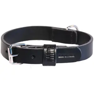 Martin Sellier Collier pour Chien 50cm - Noir pas cher