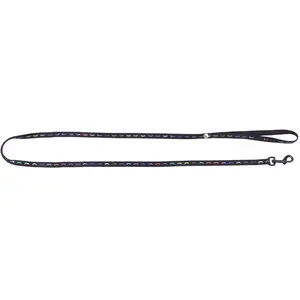 Laisse pour chien nylon Martin Sellier Dodo Noir 10x120 cm 3004356 pas cher