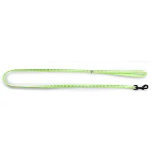 Laisse pour chien nylon Martin Sellier Safety Vert 10/120 cm 3004292