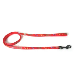MARTIN Laisse fish star 10-100 rg fishbonestar pas cher