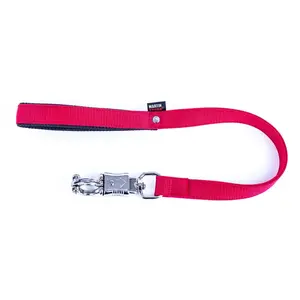 Laisse Chien - Martin Sellier Laisse Nylon Bazooka rouge   2,5 x 70 cm