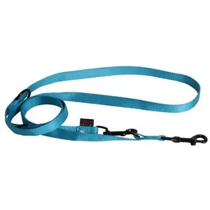 Comparateur de prix : Laisse Chien - Martin Sellier Laisse d'entraînement 3 points Turquoise - 200 x 2 cm