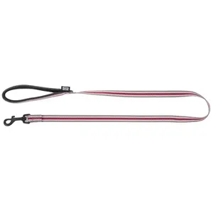 Laisse pour chien trio nylon Martin Sellier XS Gris 10/120 cm 3007291 pas cher