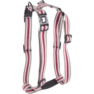 Harnais pour chien trio réglable nylon Martin Sellier S Gris 16x35/50 ... pas cher